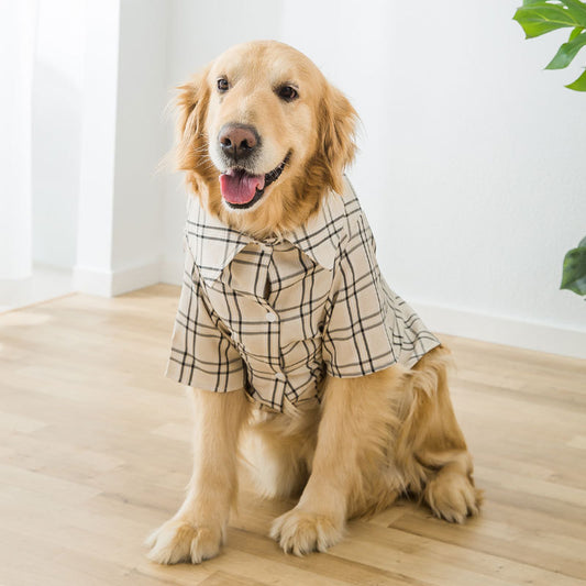 Collared Shirt for the Larger Pooch